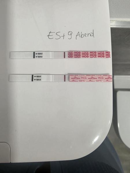 Bild zu Kinderwunsch nach FG es+9 - Kinderwunsch nach Fehlgeburt