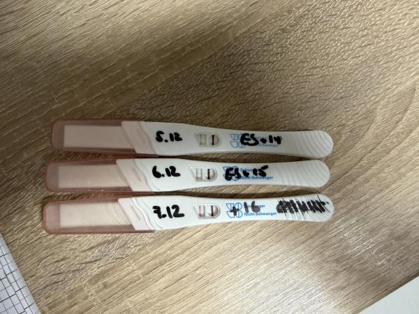 Bild zu Schwanger nach Fehlgeburten - Kinderwunsch nach Fehlgeburt