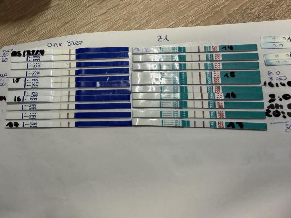 Bild zu Schwanger nach Fehlgeburten - Kinderwunsch nach Fehlgeburt