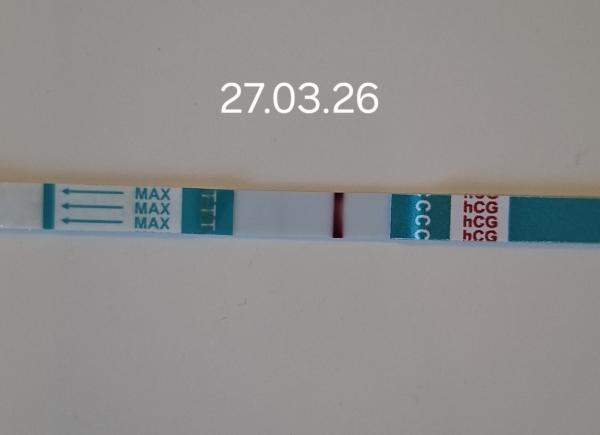 Bild zu Wieder positiv getestet - nach 3 Abgängen - Kinderwunsch nach Fehlgeburt