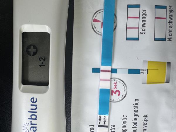 Bild zu Ssw 4+4 nach biochemischer Schwangerschaft. Test positiv aber Clear Blue immer noch auf 1-2 w - Kinderwunsch nach Fehlgeburt