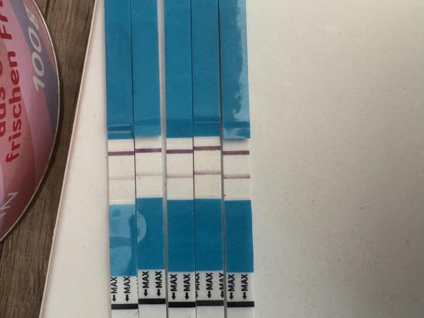 Bild zu Ssw 4+4 nach biochemischer Schwangerschaft. Test positiv aber Clear Blue immer noch auf 1-2 w - Kinderwunsch nach Fehlgeburt