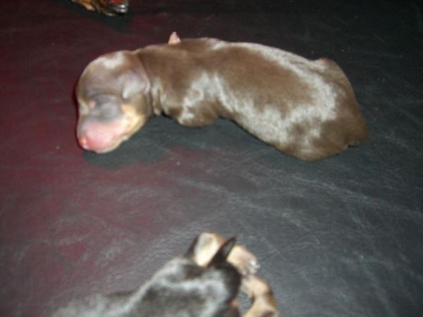 Bild zu meine kleine ist da :) - Kinderwunsch - bitte noch ein Baby