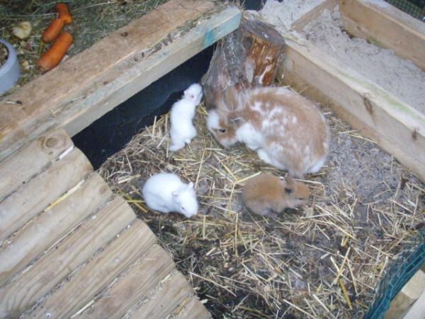 Bild zu Hab mal was zum gucken!!! :-) - Kinderwunsch - bitte noch ein Baby