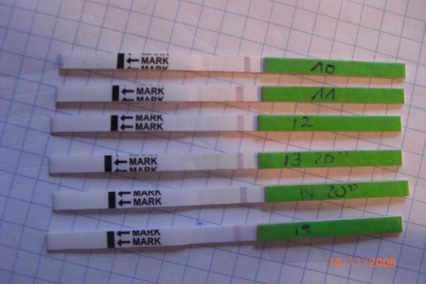 Bild zu Werd nicht schlau aus meinen Ovu-Tests-könnt ihr mal bitte gucken? - Kinderwunsch - bitte noch ein Baby