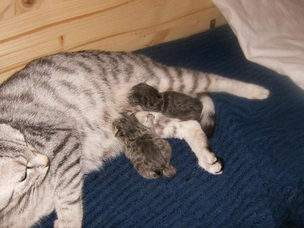 Bild zu So Mädels erste Babyfotos - Kinderwunsch - bitte noch ein Baby
