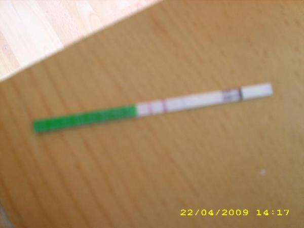 Bild zu Seht mal, ist das nicht hammer?!! :-) - Kinderwunsch - bitte noch ein Baby