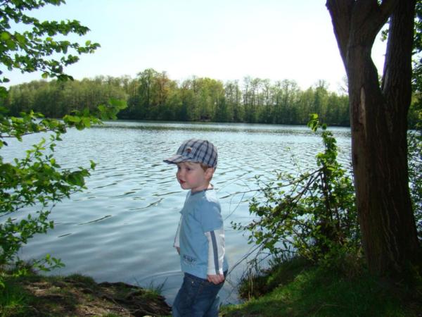 Bild zu 