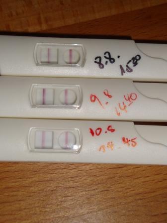 Bild zu und noch einmal schauen bitte, der Test von heute - Kinderwunsch - bitte noch ein Baby