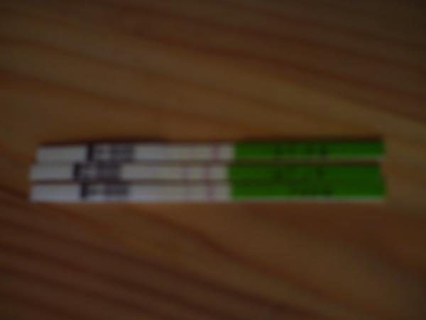 Bild zu 