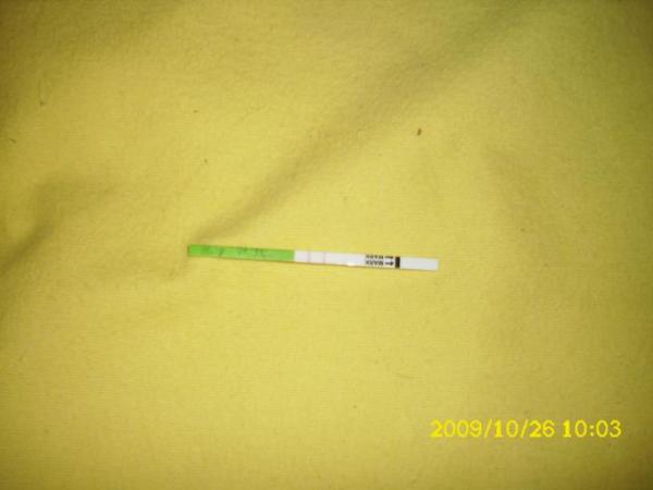 Bild zu bild von Ovus!! - Kinderwunsch - bitte noch ein Baby