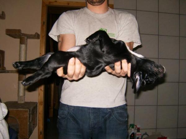 Bild zu ZT 78...... - Kinderwunsch - bitte noch ein Baby