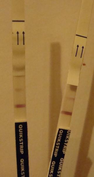 Bild zu Hab noch einen Test gemacht... weil ich besessen bin *g* - Kinderwunsch - bitte noch ein Baby
