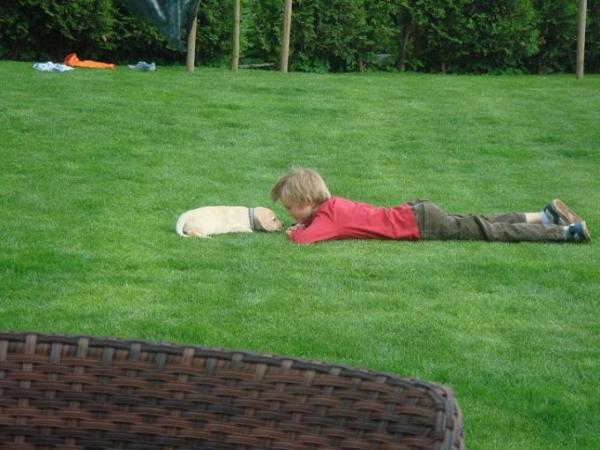 Bild zu 
