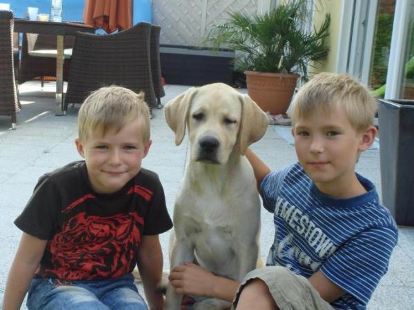 Bild zu 