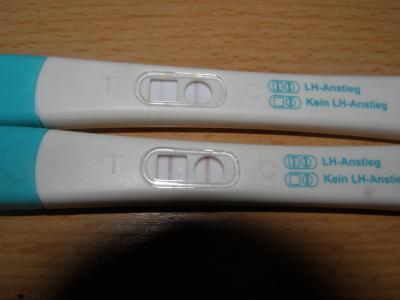 Bild zu so hier das versprochene bild und eure meinung ist gefragt - Kinderwunsch - bitte noch ein Baby