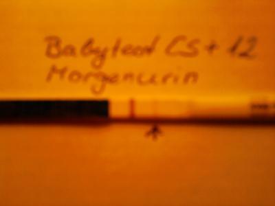 Bild zu 