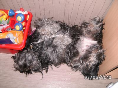 Bild zu 