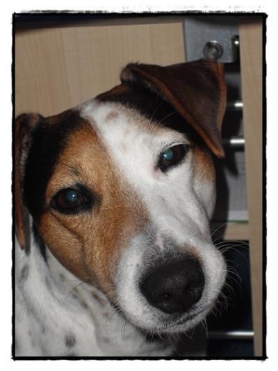 Bild zu 