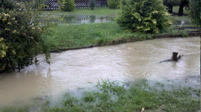 Bild zu wir haben hochwasser.... - Kinderwunsch - bitte noch ein Baby