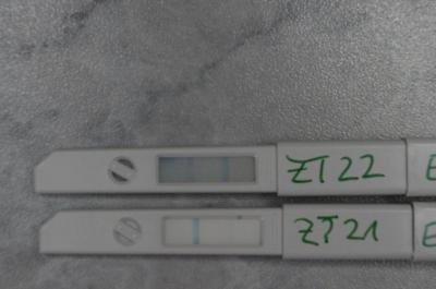Bild zu Juhu, positives Orakel :-) - Kinderwunsch - bitte noch ein Baby