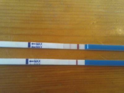 Bild zu Test positiv! :) - Kinderwunsch - bitte noch ein Baby