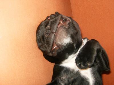 Bild zu 