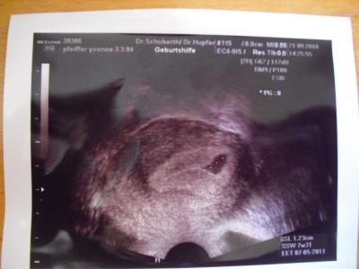 Bild zu mädels ich nochmal - Kinderwunsch - bitte noch ein Baby
