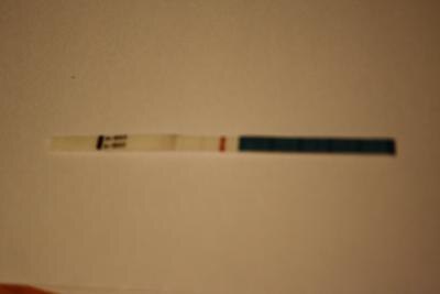 Bild zu Hier mein SS-Test - Kinderwunsch - bitte noch ein Baby