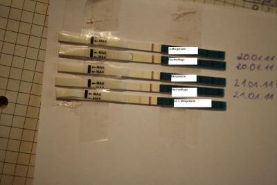 Bild zu Meine SS-Tests - Kinderwunsch - bitte noch ein Baby
