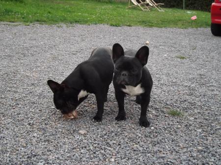 Bild zu 