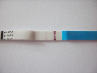 Bild zu Ich kann es garnicht glauben - Kinderwunsch - bitte noch ein Baby