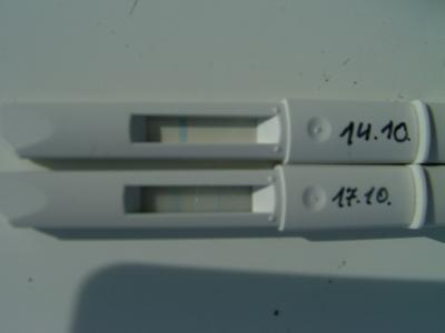 Bild zu @prinzessin26 - Kinderwunsch - bitte noch ein Baby