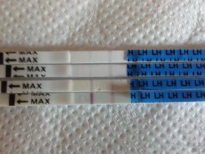 Bild zu Schaut mal mein Orakel! - Kinderwunsch - bitte noch ein Baby