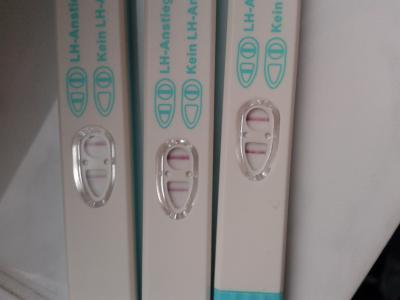 Bild zu ich weiss jetzt nicht mehr weiter - Kinderwunsch - bitte noch ein Baby