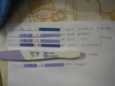 Bild zu Eure Meinung bitte zu folgenden ss Tests - Kinderwunsch - bitte noch ein Baby