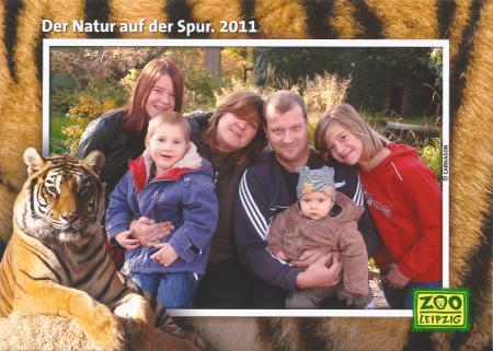 Bild zu 