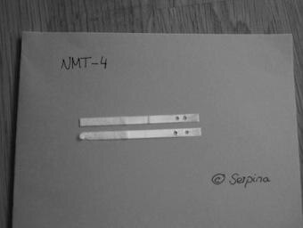 Bild zu wie sieht ein Clearblue digital SST positiv aus?? - Kinderwunsch - bitte noch ein Baby