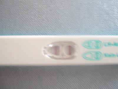 Bild zu Facell test - Kinderwunsch - bitte noch ein Baby