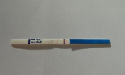 Bild zu SST bei ES+10 - Kinderwunsch - bitte noch ein Baby
