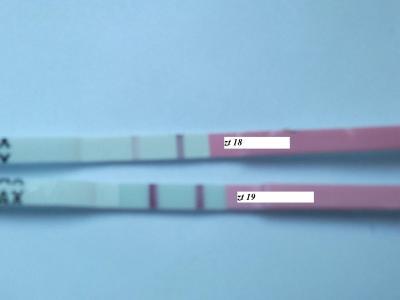Bild zu wer kann helfen ...ovu - Kinderwunsch - bitte noch ein Baby