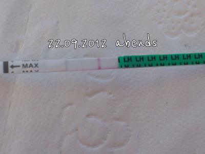 Bild zu Frage zu lh-tests - Kinderwunsch - bitte noch ein Baby