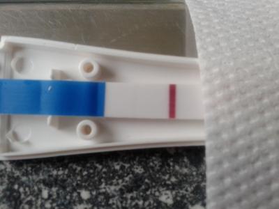 Bild zu sst - Kinderwunsch - bitte noch ein Baby