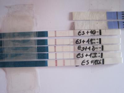 Bild zu Pfiat euch.... - Kinderwunsch - bitte noch ein Baby