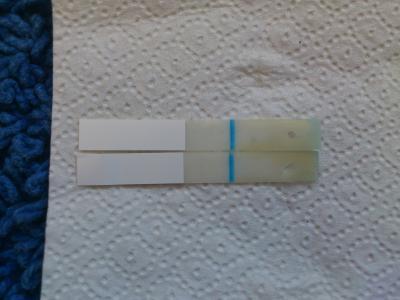 Bild zu habt ihr auf den testamed Tests auch .... - Kinderwunsch - bitte noch ein Baby