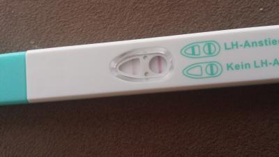 Bild zu ich möchte mich auch dazu gesellen :-) & gleich ne frage - Kinderwunsch - bitte noch ein Baby