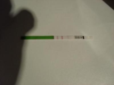 Bild zu Ovu Test ZT 12 - Kinderwunsch - bitte noch ein Baby