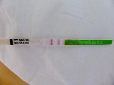 Bild zu wann Eisprung wenn Test mehrere Tage positiv? - Kinderwunsch - bitte noch ein Baby
