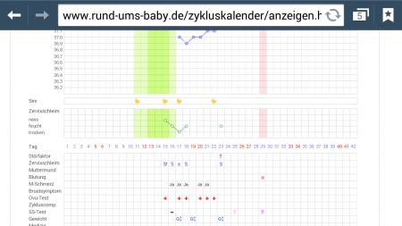 Bild zu 
