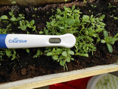 Bild zu Nerv und dann Hurra - Kinderwunsch - bitte noch ein Baby